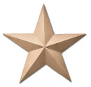 Bronze Prismatic Star Sign Symbol